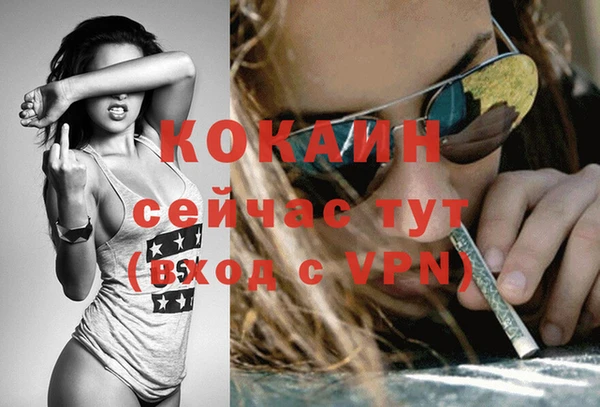 стаф Беломорск