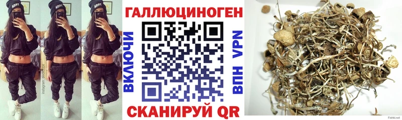 Псилоцибиновые грибы мицелий  гидра как войти  Няндома 